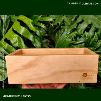 mini jardinera maceta de madera de pino para suculentas caja de suculentas